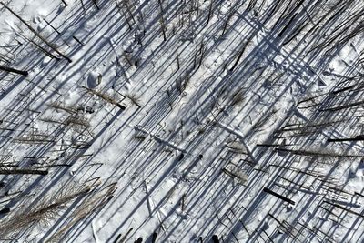 tinhte-mua-dong-2025-26 (6).jpg