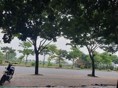 Mấy khi được thong dong