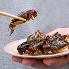 [Game] Mời bạn chia sẻ: Tại sao việc ăn côn trùng chưa phổ biến?