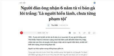 Quá xót xa, nếu biết trước nuôi mấy con gà này sẽ phải chịu bản án như thế thì mình nghĩ chắc...