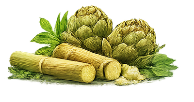 Trời nóng làm ly Nước Sâm Thảo Mộc là ngon hết sẩy!