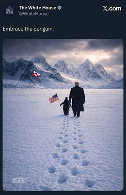 Nhà Trắng đăng hình kèm dòng chữ: “Ôm lấy chú chim cánh cụt.”