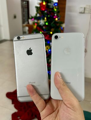 iPhone 6 và iPhone 8