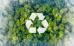 Ngày trái đất: Những thứ không thể tái chế và có thể tái chế