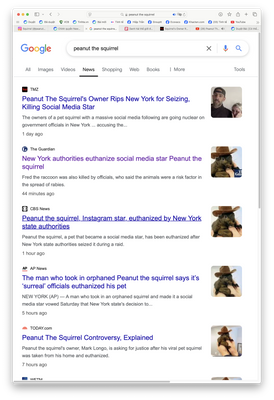 Screenshot 2024-11-03 at 6.05.19 AM.png