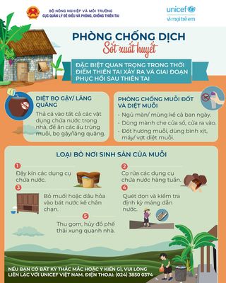 Phòng tránh sốt xuất huyết