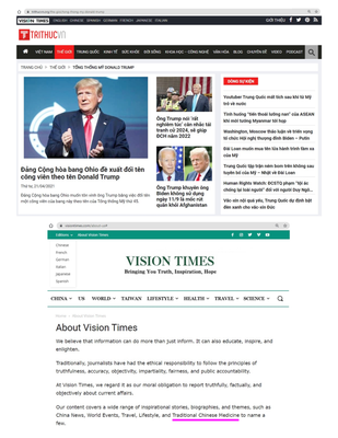 TrithucVN là Tầu - Vision Times.png
