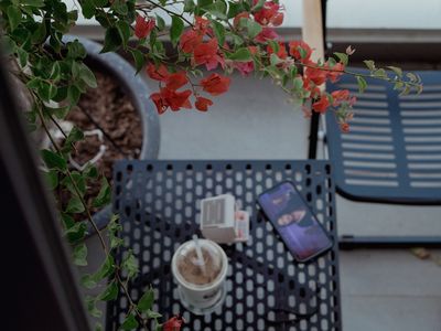 Hoa vẫn nở, những ngày rồi sẽ qua.