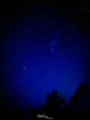2022-01-31 Starry night.jpg