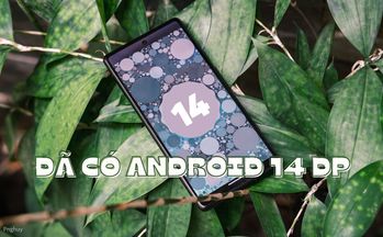 Hướng dẫn cài Android 14 Developer Preview 1 cho điện thoại Pixel