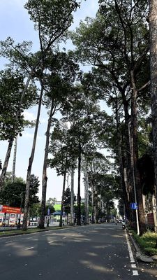 Sài Gòn ngày cuối năm